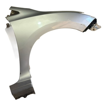 Paralama Dianteiro C...